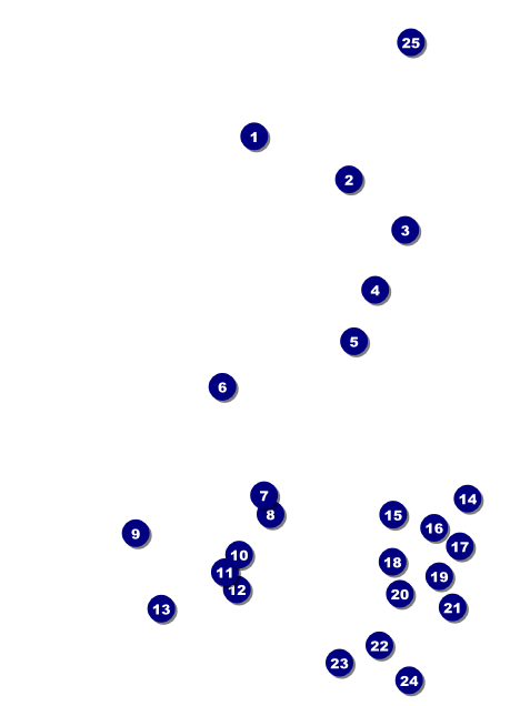 Holiday Snowflake Invitation Front Field Markers