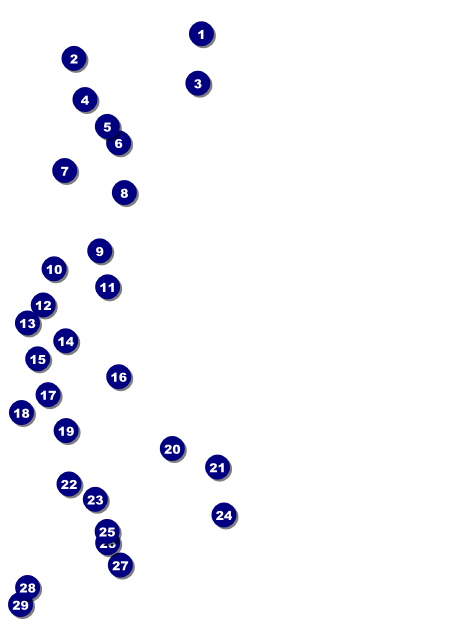 Dance Circles Invitation Front Field Markers