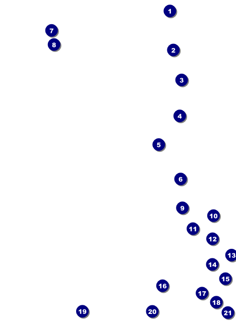 Modern Rodeo Invitation Front Field Markers