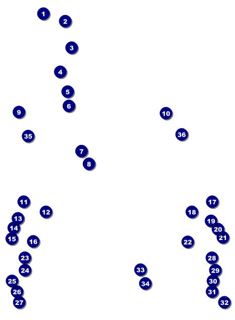 Guitar and Banjo Invitation Front Field Markers