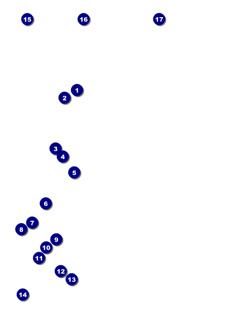 Sweet 16 Invitation Front Field Markers