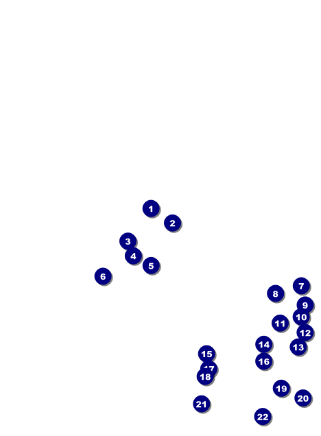 Food Festival Invitation Front Field Markers