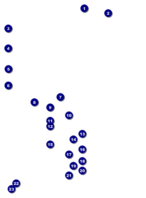 Africa Invitation Front Field Markers