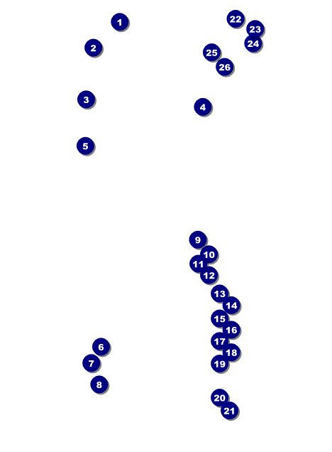 Walk Invitation Front Field Markers