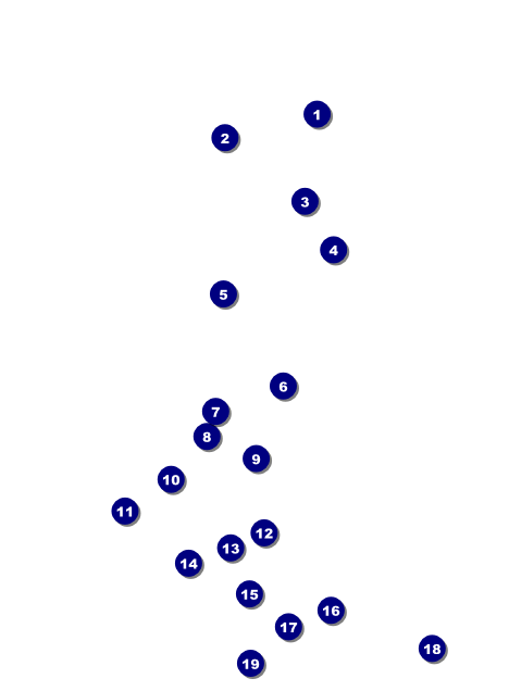 Soccer Stadium Invitation Front Field Markers