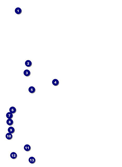 Leukemia Invitation Front Field Markers
