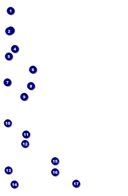 Roller Derby Passing Star Drink Ticket Front Field Markers