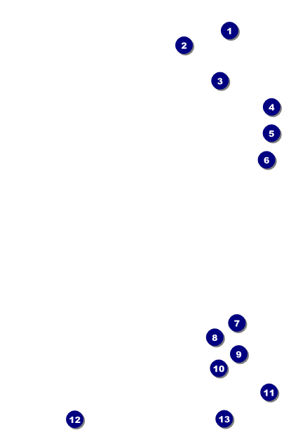 Diabetes Drink Ticket Front Field Markers