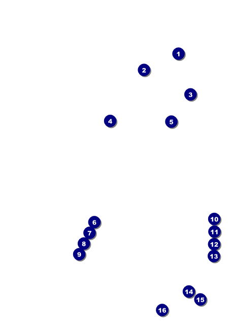 Paris Pink and Black Postcard Front Field Markers