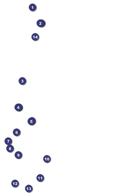 Carnival Postcard Front Field Markers