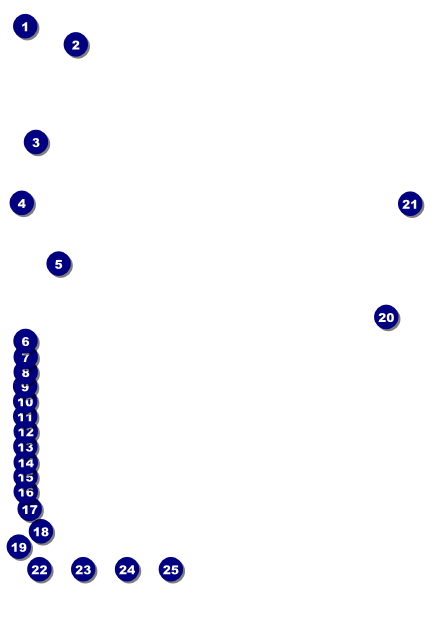 Chinese New Year Snake Postcard Front Field Markers