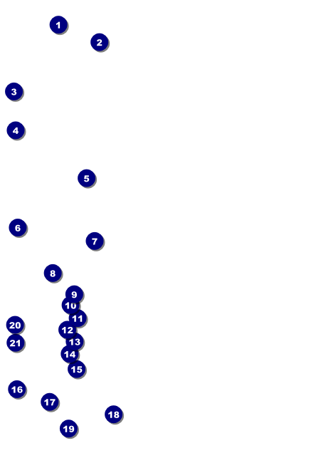 Animal Print Postcard Front Field Markers