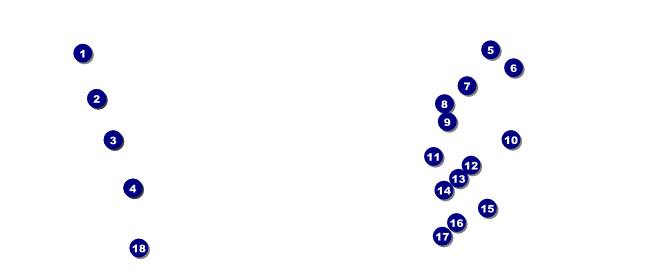 Basketball Dunk VIP Pass Front Field Markers