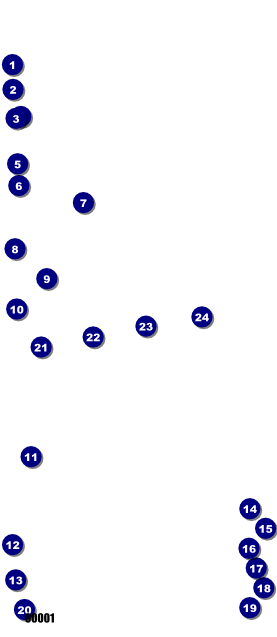 Roller Derby Passing Star VIP Pass Front Field Markers