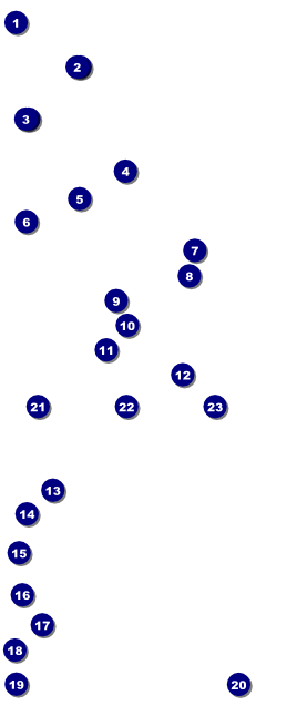 Holiday Tree VIP Pass Front Field Markers