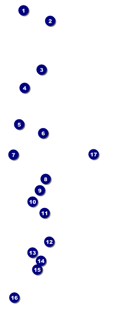 Billiards VIP Pass Front Field Markers