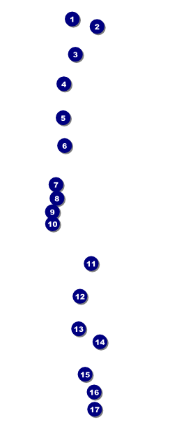 Mountaineering VIP Pass Front Field Markers