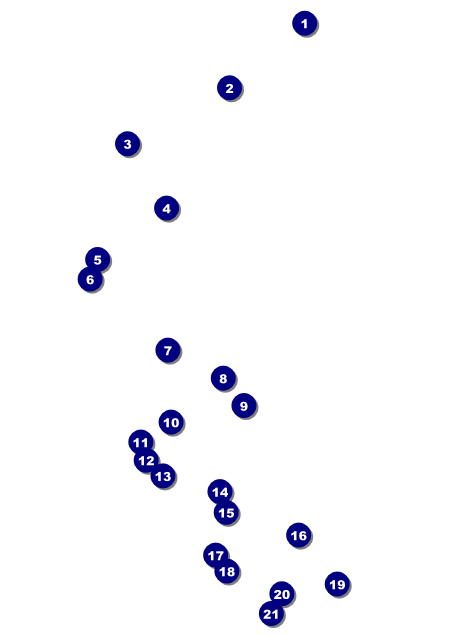 Reunion Invitation Front Field Markers