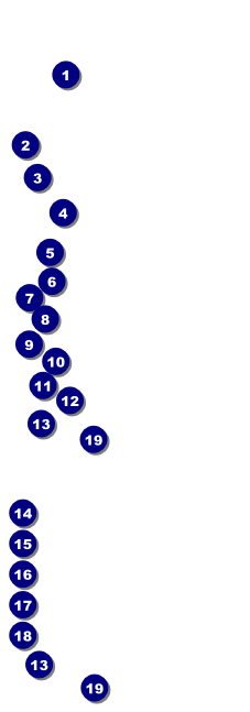 2012 Gold Semi-Formal Raffle Ticket Front Field Markers