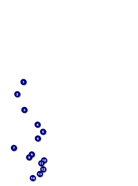 Valentine Heart Flyer Front Field Markers