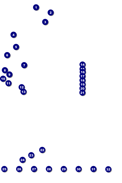 Holiday Gift Logo Poster Front Field Markers