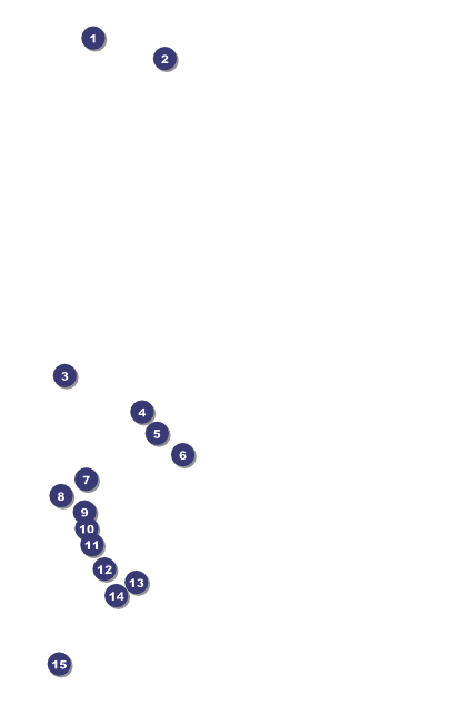 Skating Party Poster Front Field Markers