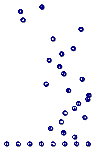 Year Classic Blue Poster Front Field Markers