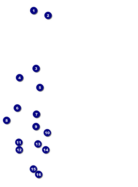 Mexican Fiesta Invitation Front Field Markers