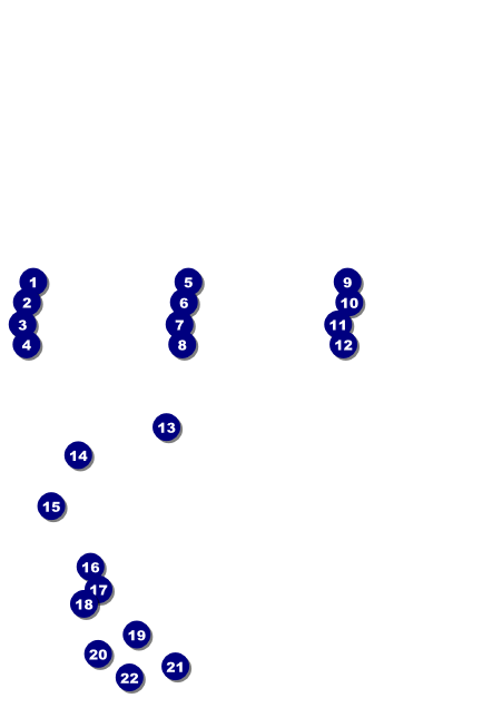 Triathlon Postcard Front Field Markers