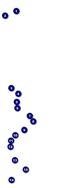 Curling VIP Pass Front Field Markers