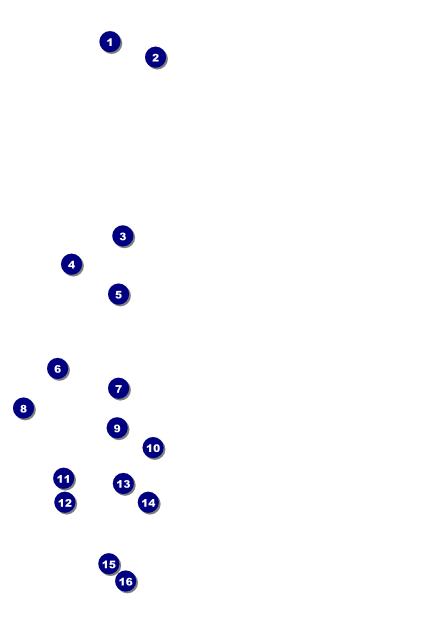Mexican Fiesta Poster Front Field Markers