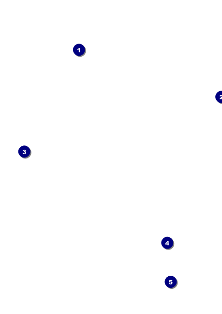 Punk Rock Postcard Front Field Markers