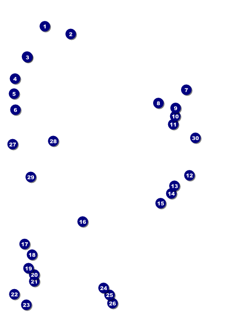 Roller Derby Jammer Flyer Front Field Markers