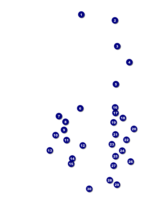 Rotary Club Flyer Front Field Markers