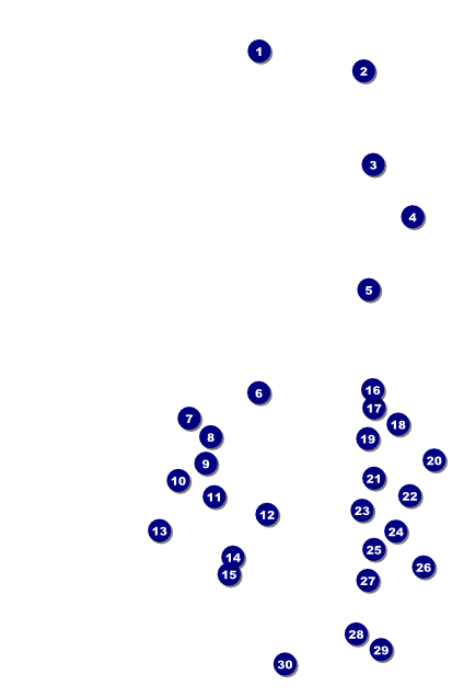 Rotary Club Poster Front Field Markers