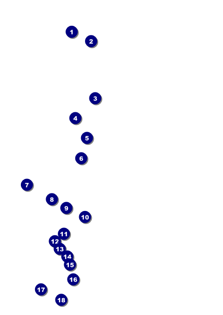 All Purpose Skyline Black and White  Postcard Front Field Markers