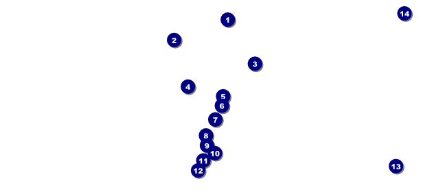 Spring Festival 2 VIP Pass Front Field Markers
